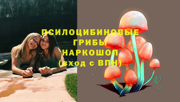 круглые Алексин