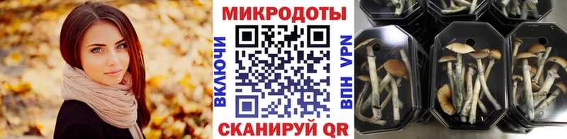 Галлюциногенные грибы MAGIC MUSHROOMS  что такое наркотик  Грозный 