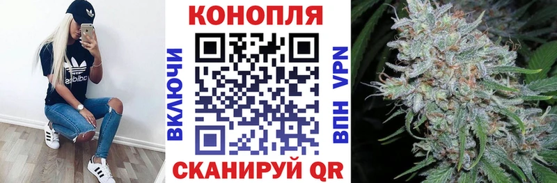 Канабис семена  Грозный 